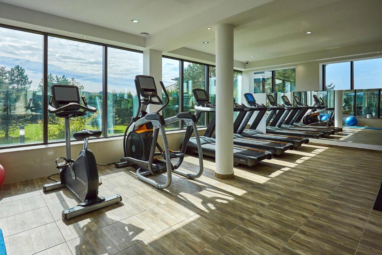 A Hoteli - Grand&Sky Hotel Tornik Zlatibor Exterior photo The gym at the hotel